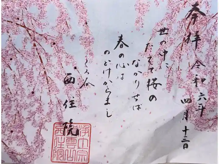 しだれ桜 2日間限定