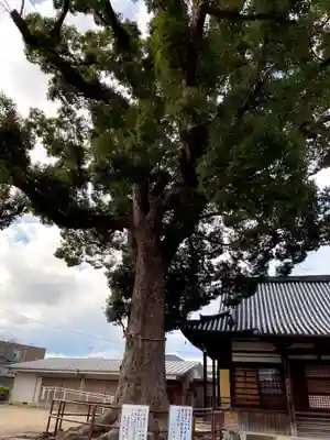 観音寺(大阪府)