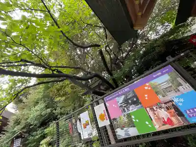 東京大神宮(東京都)