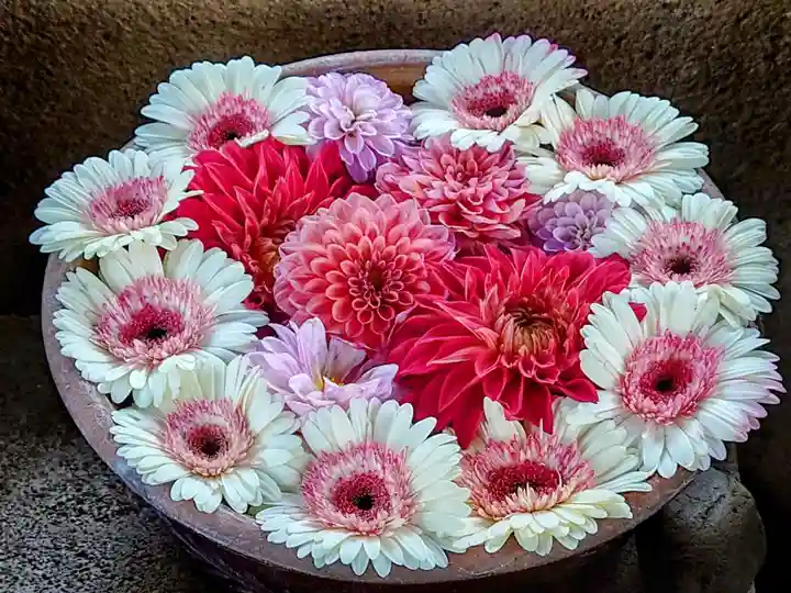 上野東照宮の手水舎