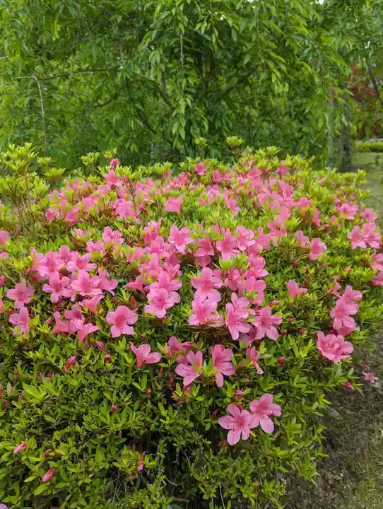 平安神宮(京都府)