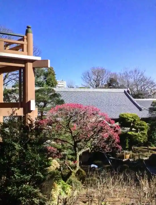 東長谷寺 薬王院(東京都)