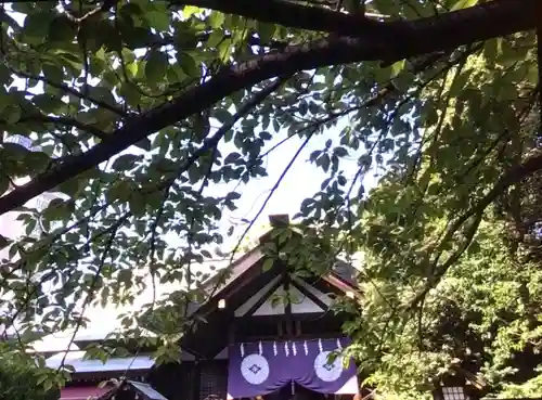 東京大神宮(東京都)