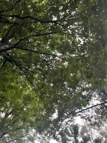 西根神社(福島県)