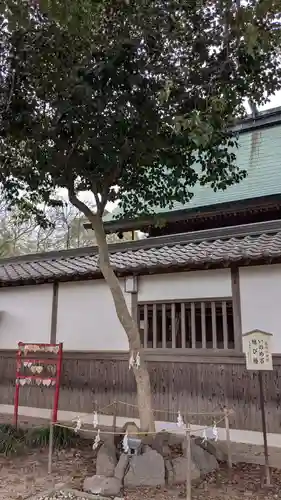 高忍日賣神社の自然
