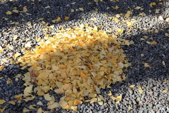 熊野福藏神社の庭園
