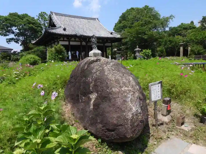 般若寺 ❁コスモス寺❁(奈良県)