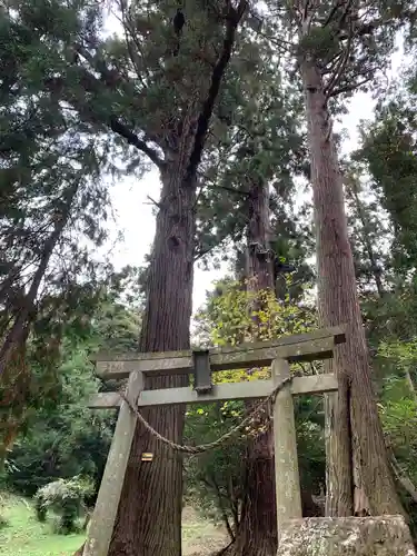 八幡神社の鳥居