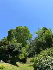 八坂神社(神奈川県)