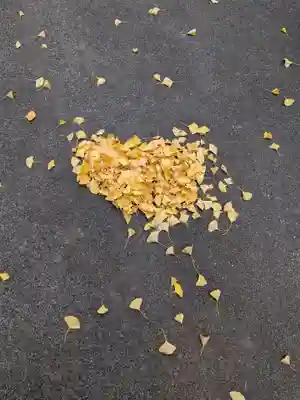 渋谷氷川神社(東京都)