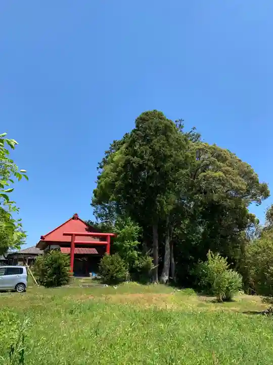 神社(名称不明)の鳥居