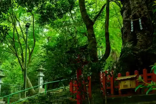 新田神社(鹿児島県)