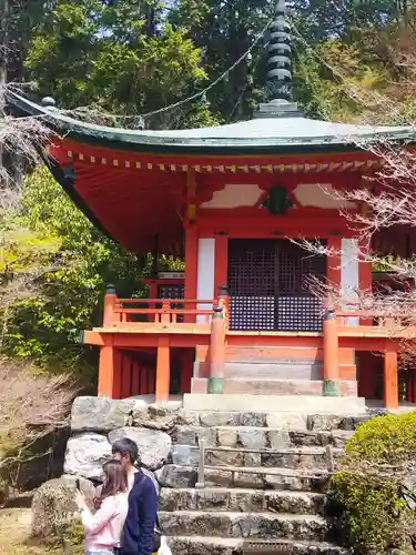 醍醐寺(京都府)