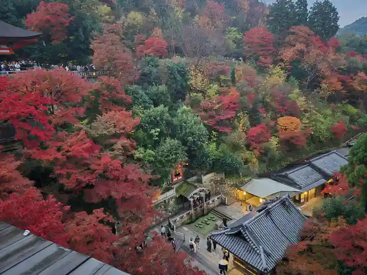 清水寺(京都府)