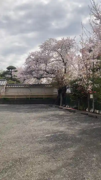 禪定院(東京都)