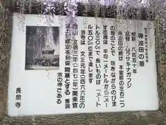 長泉寺の歴史