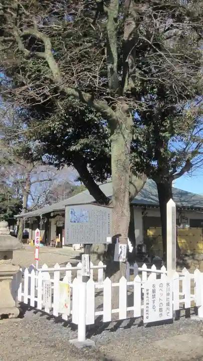 新曽氷川神社(埼玉県)