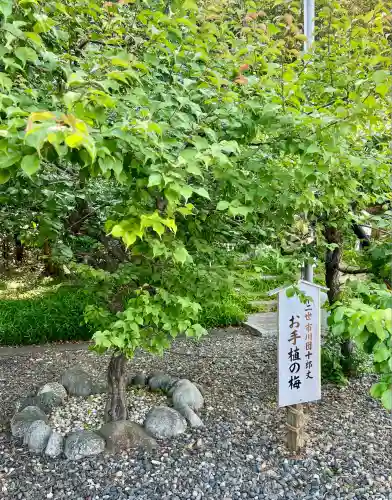 矢奈比賣神社（見付天神）(静岡県)
