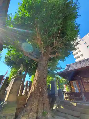 晴門田神社の自然