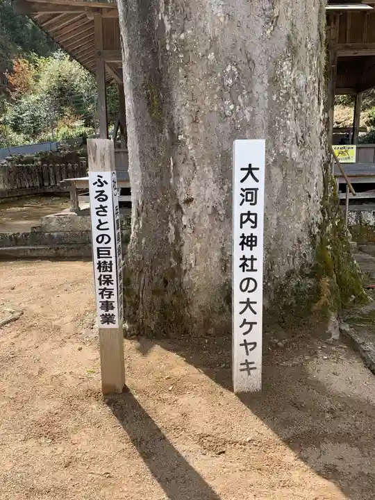 大河内神社の自然