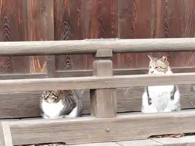 阿邪訶根神社(福島県)