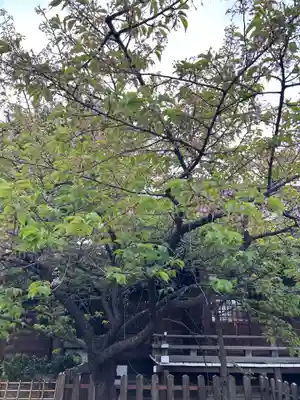 新宿下落合氷川神社(東京都)