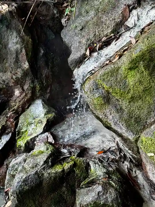 霧島神宮(鹿児島県)