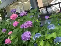 武蔵一宮氷川神社の{uncategorized: "未分類", other: "その他", undefined: "問題あり", building: "その他建物", grave: "お墓", sacred_gate: "鳥居", guardian: "狛犬", statue: "像", buddha: "仏像", history: "歴史", nature: "自然", garden: "庭園", animal: "動物", pagoda: "塔", temizu: "手水舎", mountain_gate: "山門・神門", sanctuary: "本殿・本堂", subordinate: "末社・摂社", art: "芸術", scenery: "景色", jizo: "地蔵", ema: "絵馬", goshuin: "御朱印", omikuji: "おみくじ", items: "授与品その他", amulet: "お守り", goshuincho: "御朱印帳", eats: "食事", festival: "お祭り", votive_dance: "神楽", shichigosan: "七五三参", wedding: "結婚式", experience: "体験その他", initially: "初詣", around: "周辺", anti_infection: "感染症対策"}