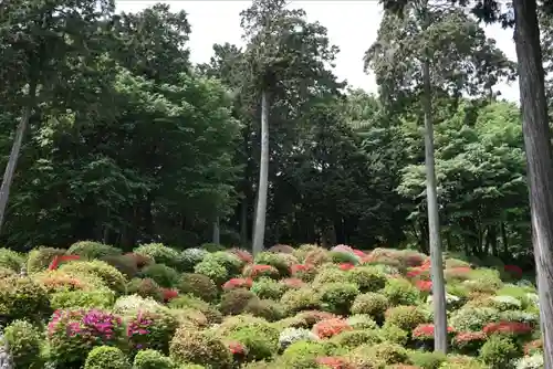  七国山薬王寺(東京都)