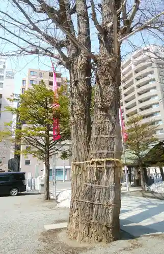 北海道神宮頓宮のその他建物