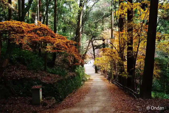 圓教寺(兵庫県)