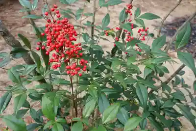 田村神社の庭園