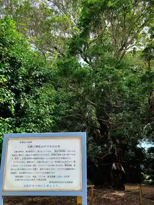 天御子神社(静岡県)