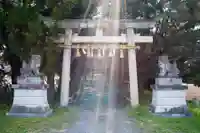 三ケ尻八幡神社(埼玉県)
