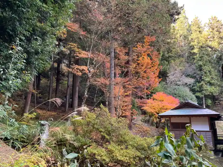 常楽寺(長野県)