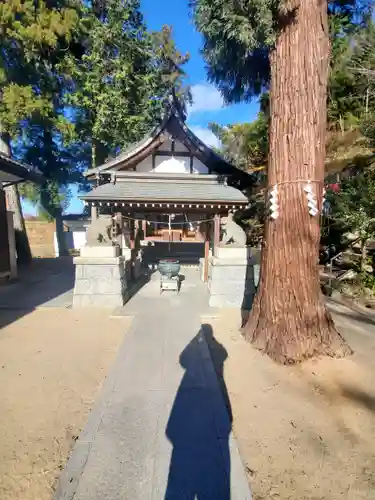 妙力神社の狛犬