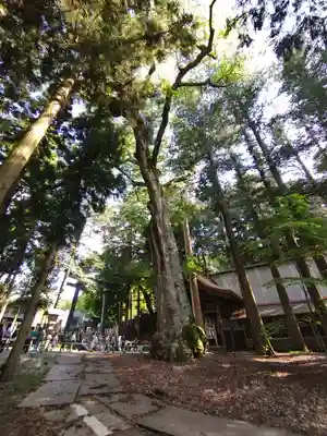 諏訪大社(長野県)