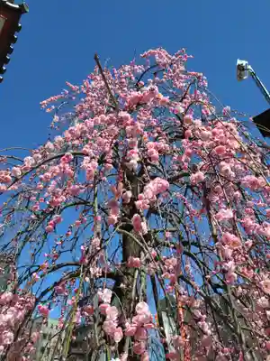 成願寺(東京都)