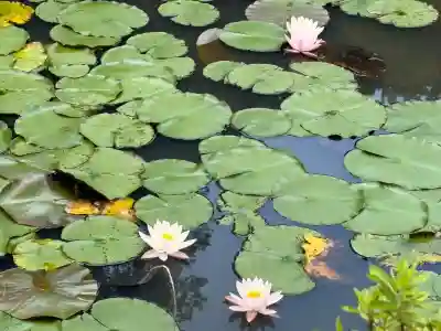 陽林寺(福島県)