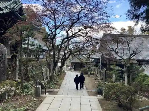 最乗寺（道了尊）(神奈川県)
