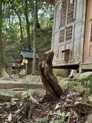 玉作湯神社(島根県)
