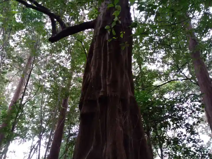 大神神社の自然