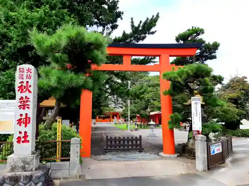 浜松秋葉神社の鳥居