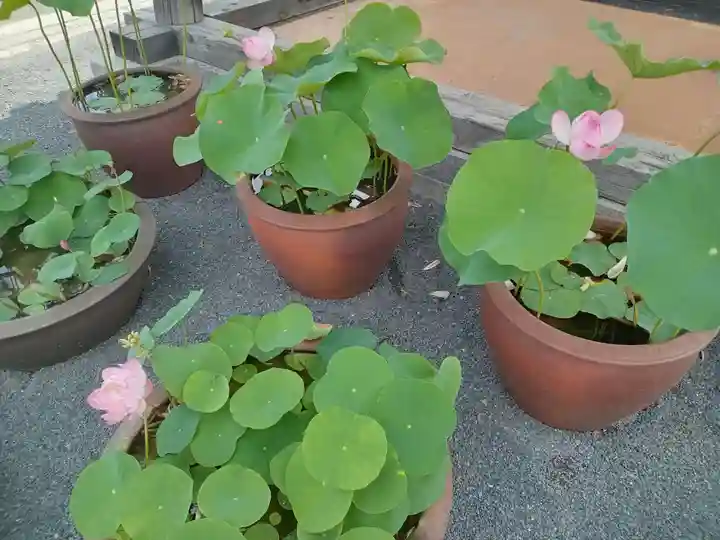 総持寺(大阪府)