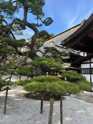 恵林寺(山梨県)