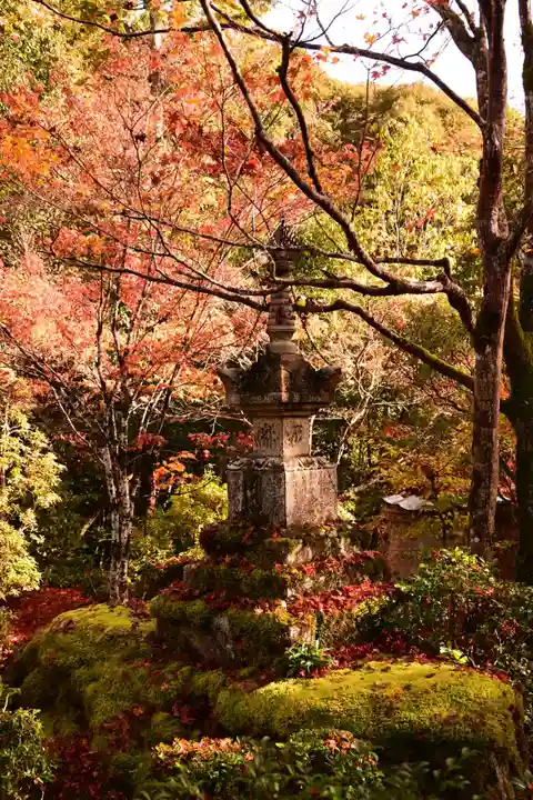 西明寺(京都府)