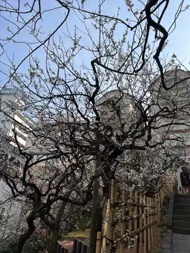 湯島天満宮の庭園