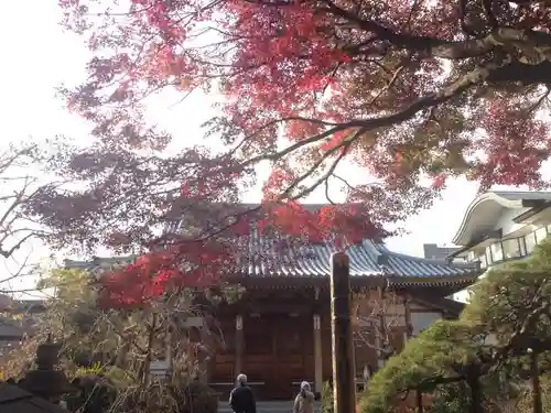 長泉寺の本殿