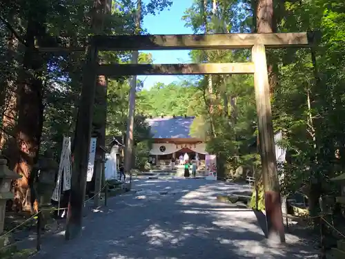 椿大神社の鳥居