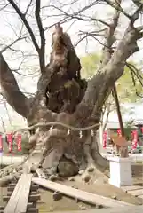 秩父今宮神社の自然